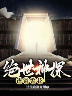 (独家)绝世神探，铿锵警花小说