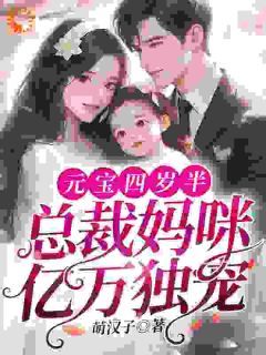 元宝陆婉小说 第11章无错版阅读