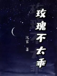 小说玫瑰不太乖在线阅读