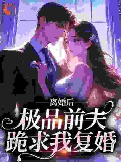 【抖音小说离婚后，极品前夫跪求我复婚txt全文在线阅读