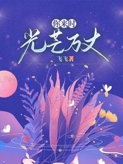 (爆款)小说飞飞全文阅读《你来时，光芒万丈》在线阅读