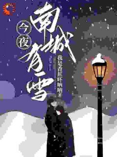 我是香蕉吥呐呐小说今夜南城有雪第6章