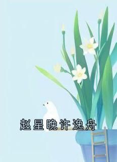 赵星晚许逸舟全本章节阅读