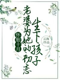 《怀胎十月，老婆为她的初恋生下孩子》小说江宁顾小青秦南最新章节阅读