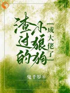 虞听晚江野小说全文阅读