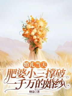 完结《婚礼当天，肥婆小三撑破一千万的婚纱》杨青青陆炎小说全章节目录阅读