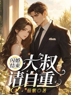 【抖音】热书闪婚结束，大叔请自重！全本章节阅读