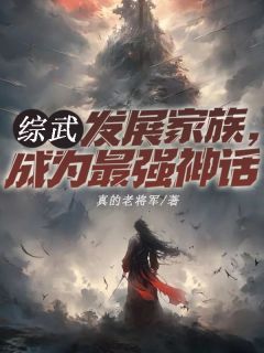 完结《综武：发展家族，成为最强神话》林立林恒小说全章节目录阅读