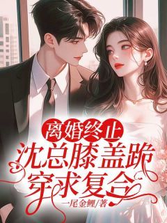 一尾金鲤《离婚终止：沈总膝盖跪穿求复合》在线阅读