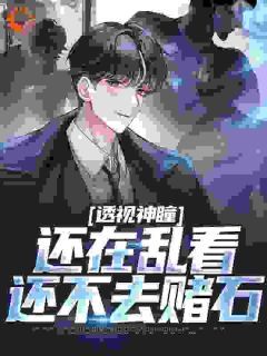 《透视神瞳：还在乱看，还不去赌石》全章节小说_孟川周珍珍全文阅读