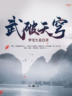 (无弹窗)武破天穹小说