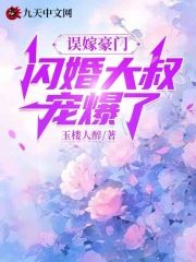 《误嫁豪门，闪婚大叔宠爆了》艾绯凌夜小说全部章节目录