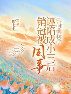 【抖音小说销冠被同事诬陷成小三后，公司倒闭了txt全文在线阅读