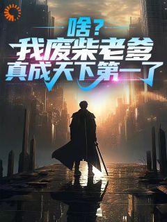 陈丹青齐风小说 第12章无错版阅读