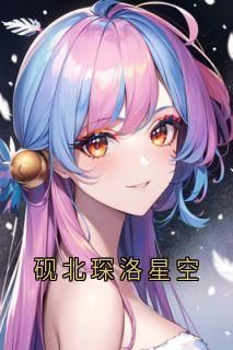 (爆款)小说砚北琛全文阅读《砚北琛洛星空》在线阅读