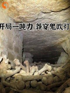 (无弹窗)开局一吨力，莽穿鬼吹灯小说