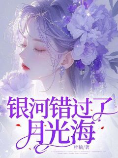 银河错过了月光海小说