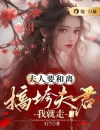 无广告小说夫人要和离，搞垮夫君我就走 孟若华宋辰安在线阅读