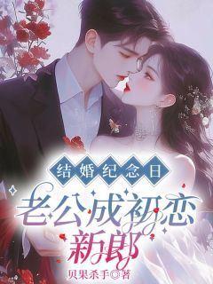 (无弹窗)小说结婚纪念日，老公成初恋新郎 作者贝果杀手