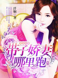 完结《婚定一生：带子娇妻哪里跑》唐菲菲向晟小说全章节目录阅读