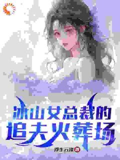 (爽文)冰山女总裁的追夫火葬场全本章节阅读