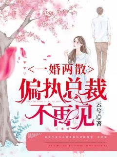 【抖音】小说一婚两散：偏执总裁不再见无广告阅读