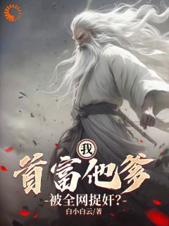 (无弹窗)我：首富他爹，被全网捉奸？小说