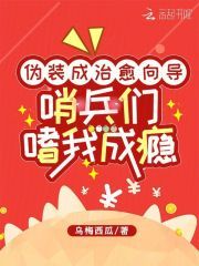 小说伪装成治愈向导，哨兵们嗜我成瘾无广告阅读