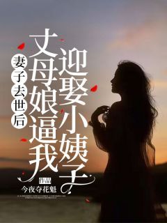 无广告小说妻子去世后，丈母娘逼我迎娶小姨子 陈正豪袁玲雅在线阅读