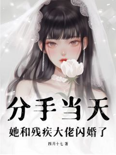 (无弹窗)分手当天，她和残疾大佬闪婚了小说