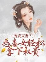 宠妾灭妻？恶毒女轻松拿下权贵全本章节阅读