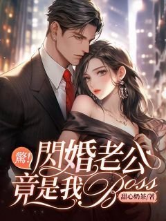 最新小说《惊！闪婚老公竟是我BOSS》大结局阅读