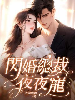 闪婚总裁夜夜宠全文阅读