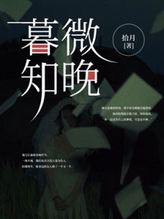 (无弹窗)暮微知晚小说