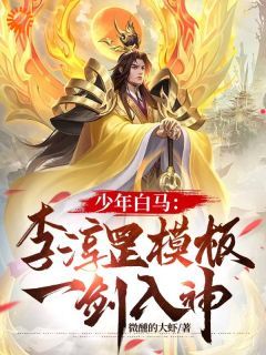 【知乎】《少年白马：李淳罡模板，一剑入神》叶凡李淳罡完结版免费阅读