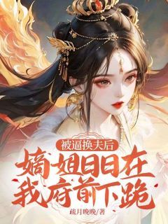 (无弹窗)小说被逼换夫后，嫡姐日日在我府前下跪 作者疏月晚晚