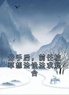 贺霆之写的小说《分手后，前任校草想法设法求复合》贺霆之乔时柠全文阅读