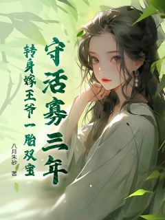 (爆款)小说八月朱砂全文阅读《守活寡三年，转身嫁王爷一胎双宝》在线阅读