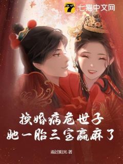 最新小说《换婚病危世子，她一胎三宝赢麻了》大结局阅读