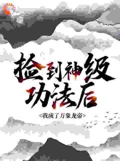 捡到神级功法后，我成了万象龙帝大结局免费阅读全文