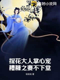 (完本)大结局小说《探花大人掌心宠，糟糠之妻不下堂》在线阅读