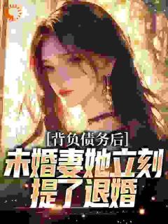 《背负债务后，未婚妻她立刻提了退婚》苏航徐菲小说全部章节目录