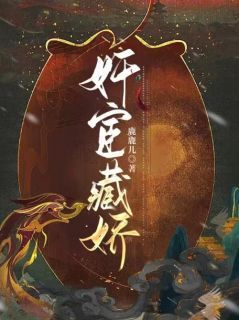 (完本)意欢解云洲小说