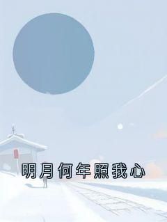 姜念夏陆时越小说无广告阅读