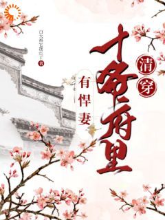 白大褂它摆烂了写的小说《清穿：十爷府里有悍妻》诺敏胤䄉全文阅读