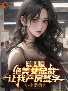 《刚回国，绝美女总裁让我产房签字》by小小燊燊