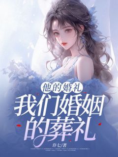 《他的婚礼，我们婚姻的葬礼》小说陈乐珊宋琛最新章节阅读