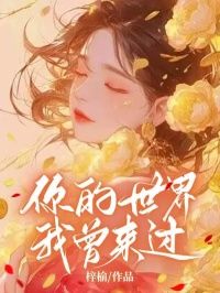 (无弹窗)你的世界，我曾来过小说