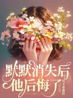 默默消失后，他后悔了小说