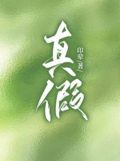 (无弹窗)真假小说